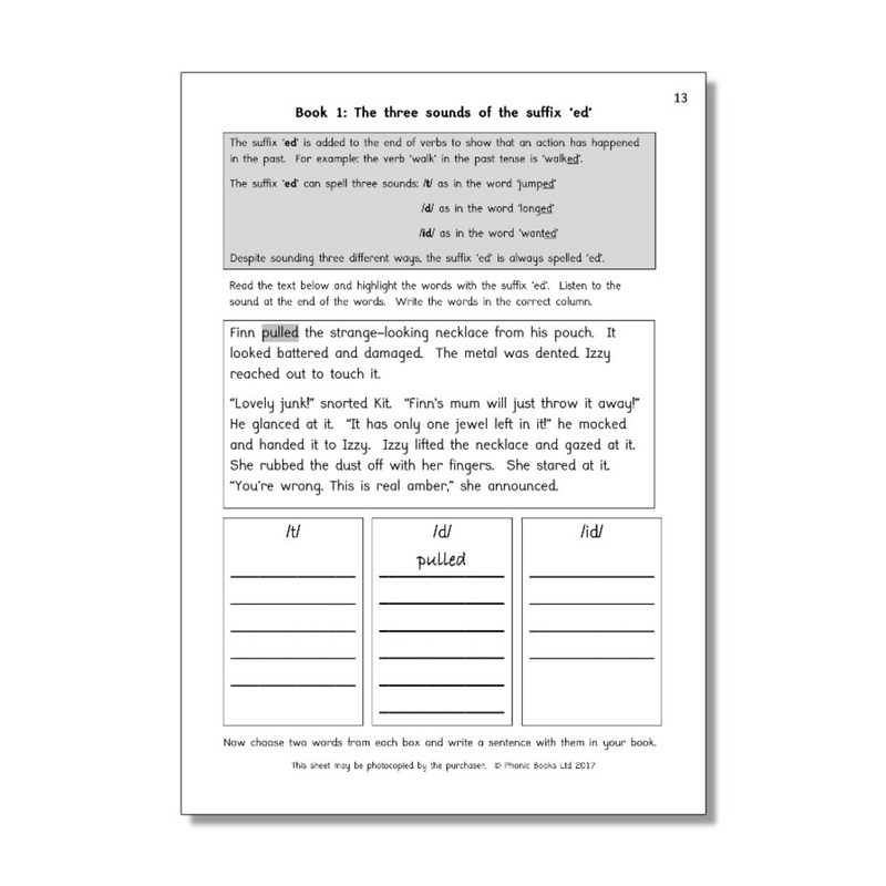 Amber Guardians Workbook